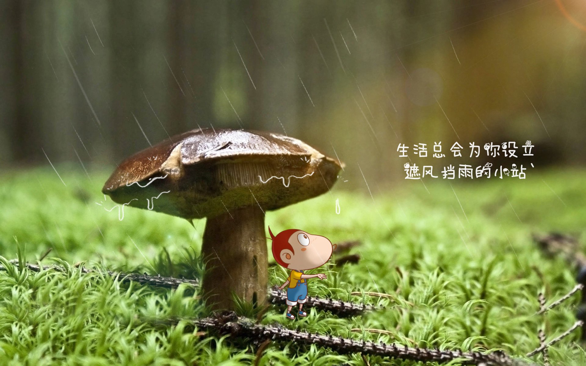 足球影视短片创作计划启动扶持青年导演，足球剪辑
