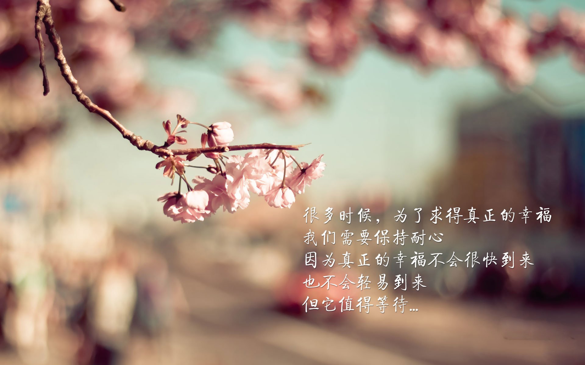 哈里·马奎尔因伤无缘欧洲杯，表达失望之情，哈里马奎尔绰号